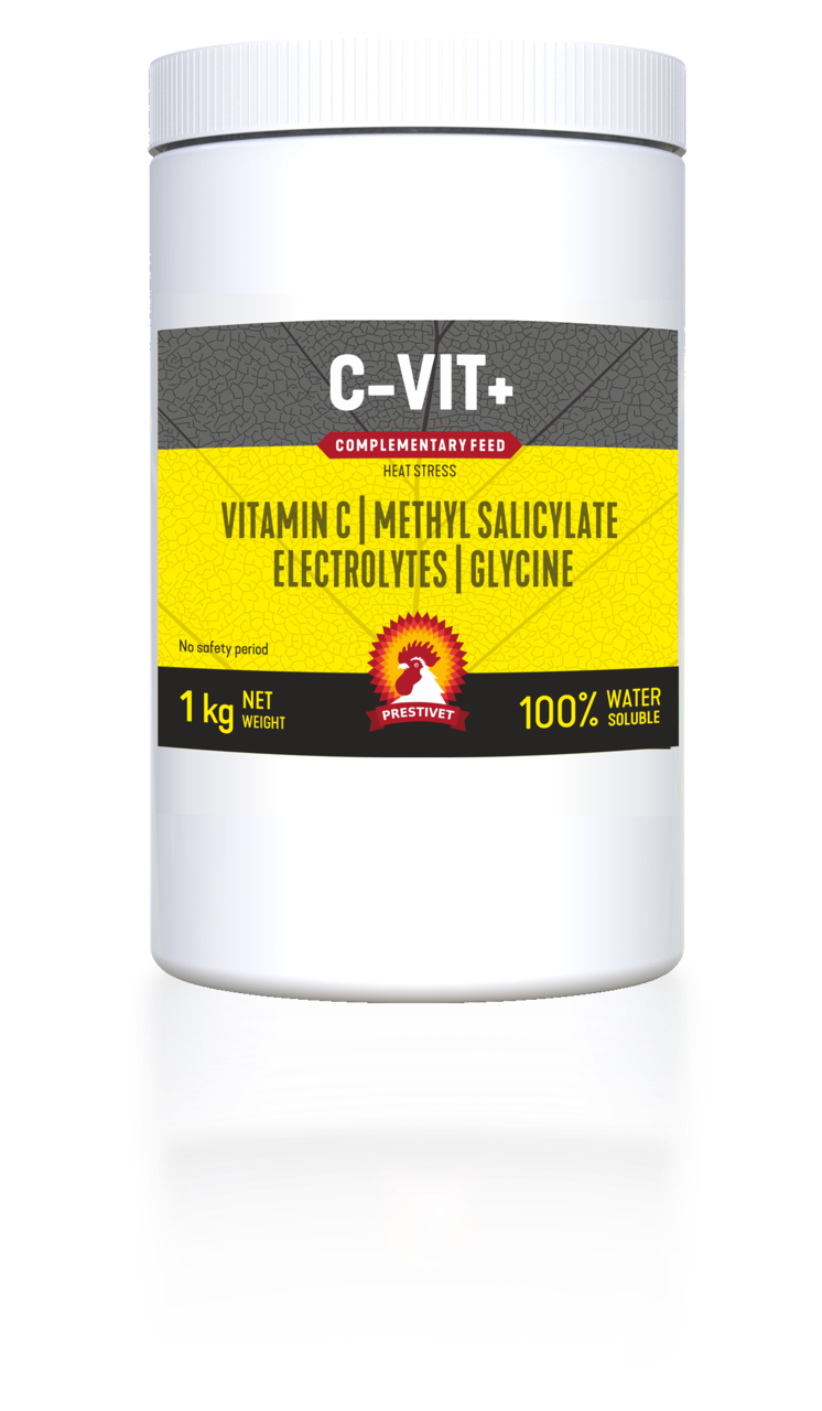 C-VIT +